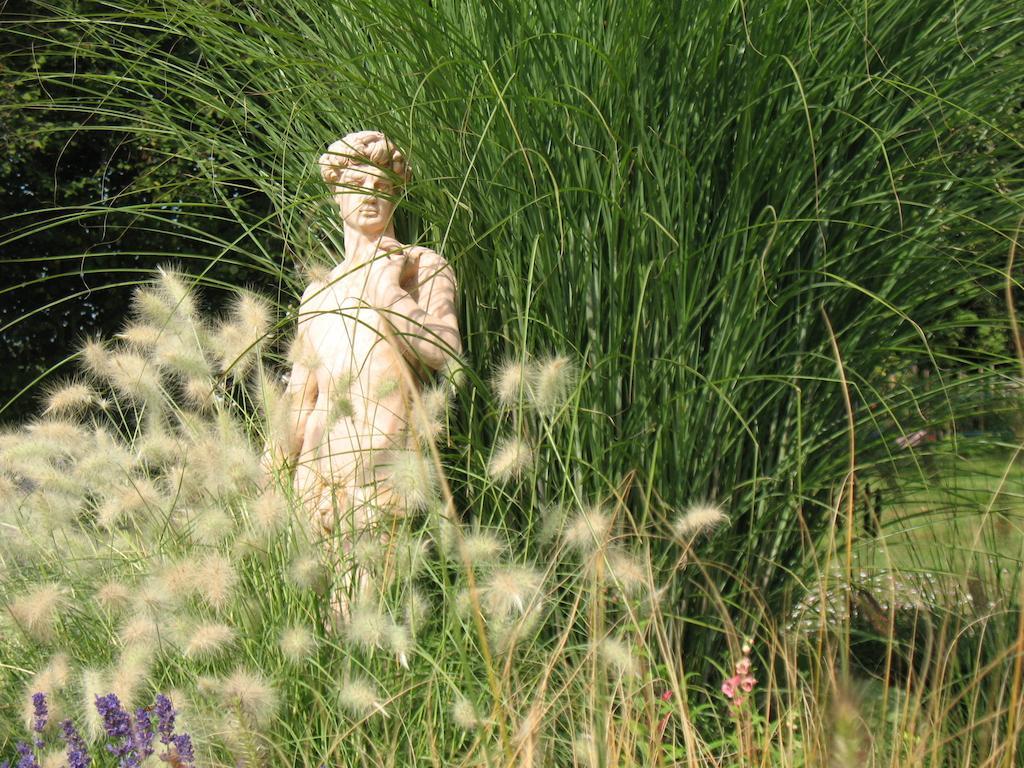 Domaine De La Jarrige 호텔 Saint-Vaury 외부 사진